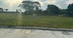 Solar Jacaguavista Del Bosque