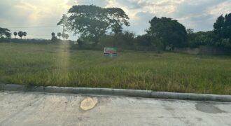 Solar Jacaguavista Del Bosque