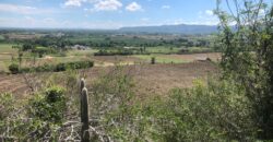 Terreno Navarrete