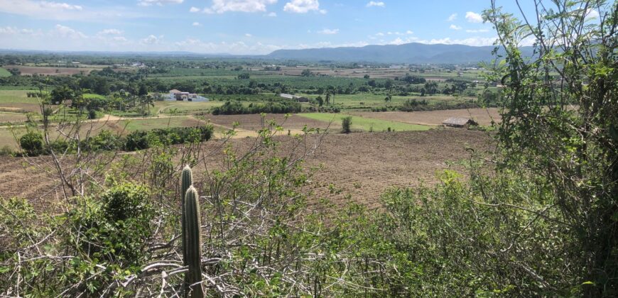 Terreno Navarrete