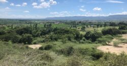 Terreno Navarrete