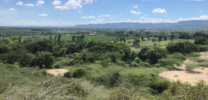 Terreno Navarrete