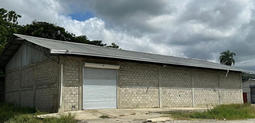 FREOSCAR SOLAR